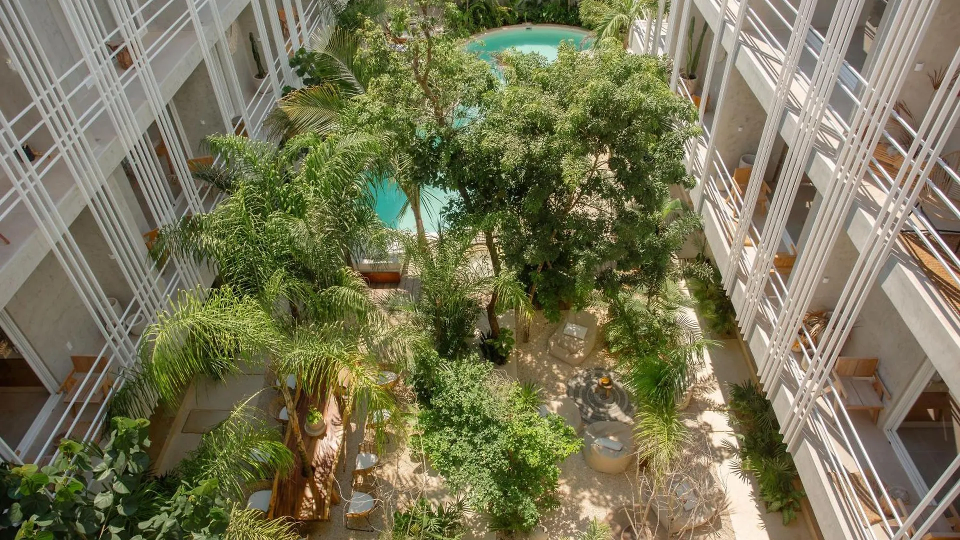 Jungle Treasure In Tulum Apartment