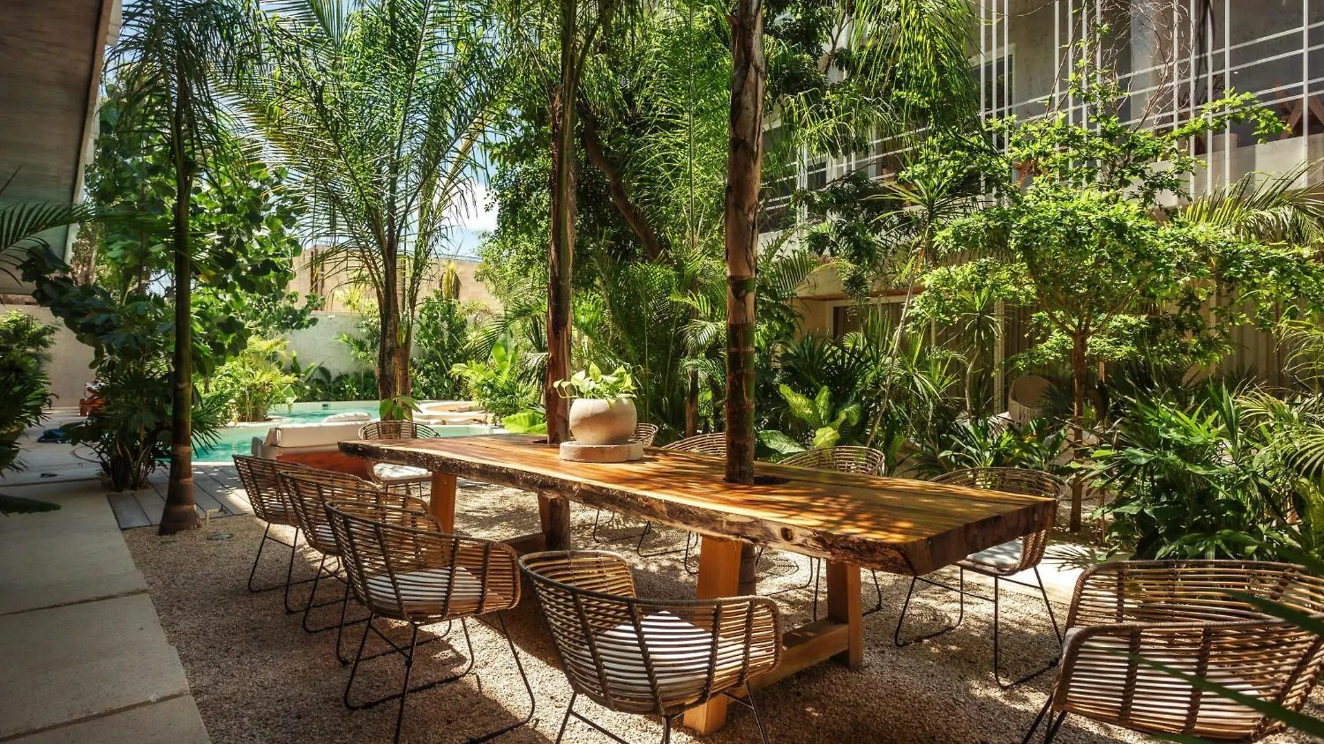 Jungle Treasure In Tulum Apartment