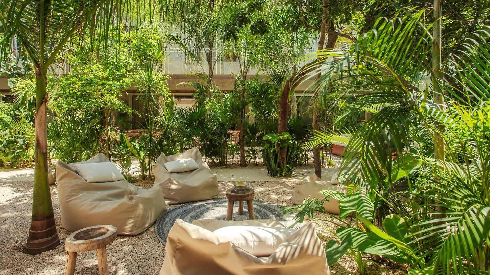 Jungle Treasure In Tulum Apartment 0*,