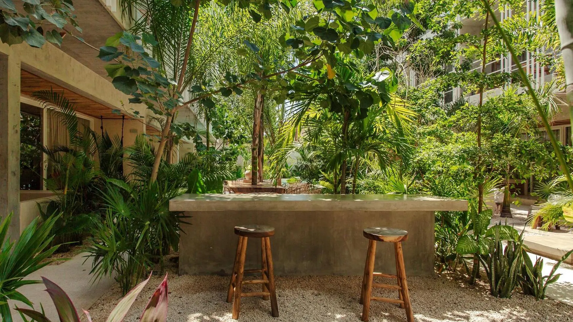 Jungle Treasure In Tulum Apartment
